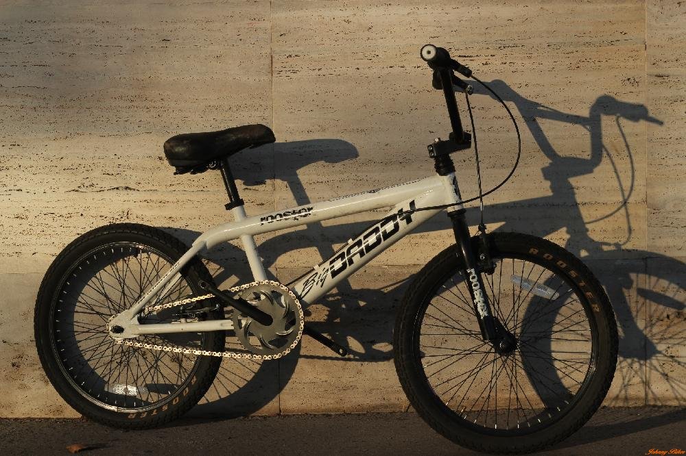 Használt BigDaddy Rooster Gyermek BMX Kerékpár (29cm Acél)