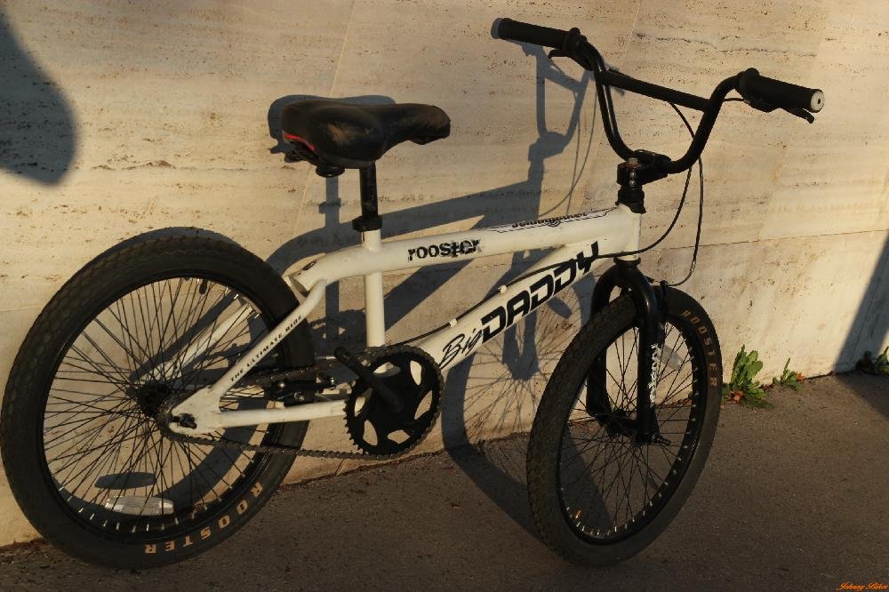 Használt BigDaddy Rooster Gyermek BMX Kerékpár (29cm Acél)